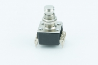 1IN-018 Pushbutton switch, DPDT, momentary circuitry Mod. PT-4540 CS